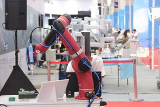 文物保护新思路 机器人技术在守护历史遗产中的应用前景